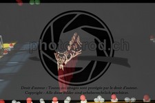 ref. photo 3629896