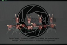 ref. photo 3629925