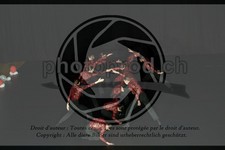 ref. photo 3629932