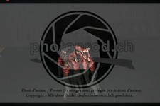 ref. photo 3629989