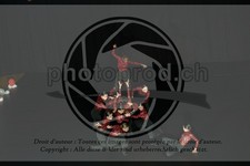 ref. photo 3629992
