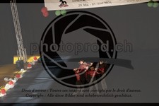 ref. photo 3630062