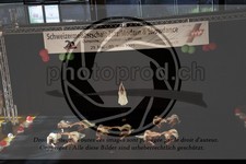 ref. photo 3630144