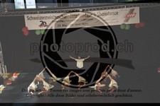 ref. photo 3630145