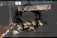 ref. photo 3630158