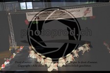 ref. photo 3630163