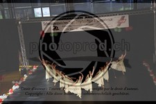 ref. photo 3630165
