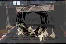 ref. photo 3630168