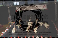 ref. photo 3630179