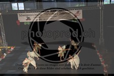ref. photo 3630188