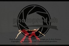 ref. photo 3630196