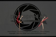 ref. photo 3630209