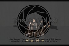 ref. photo 3630399