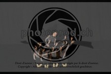 ref. photo 3630400