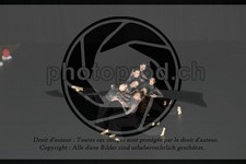 ref. photo 3630410