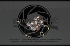 ref. photo 3630412