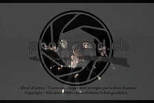 ref. photo 3630426