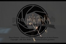 ref. photo 3630460