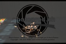 ref. photo 3630465