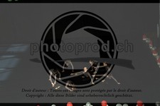 ref. photo 3630487