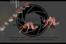 ref. photo 3630505