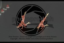 ref. photo 3630517