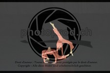 ref. photo 3630566