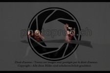ref. photo 3630691