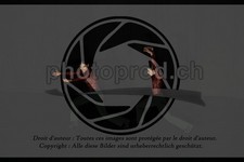 ref. photo 3630692