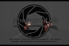 ref. photo 3630694