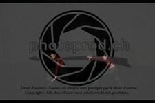 ref. photo 3630695