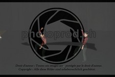 ref. photo 3630708
