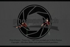 ref. photo 3630710