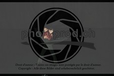 ref. photo 3630713