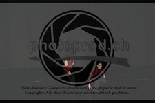 ref. photo 3630731
