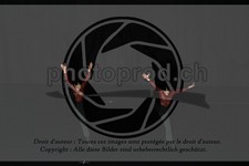 ref. photo 3630744