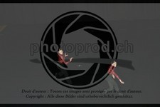 ref. photo 3630759
