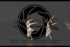 ref. photo 3630883