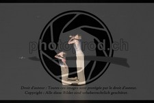 ref. photo 3630986