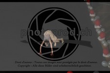 ref. photo 3630995