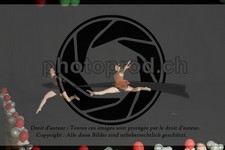 ref. photo 3631070