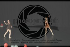 ref. photo 3631115