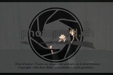 ref. photo 3631229