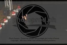 ref. photo 3631245