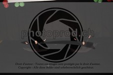 ref. photo 3631249