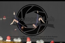 ref. photo 3631266