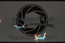 ref. photo 3631325