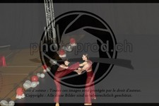 ref. photo 3631424