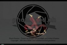 ref. photo 3631441