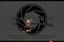 ref. photo 3631591